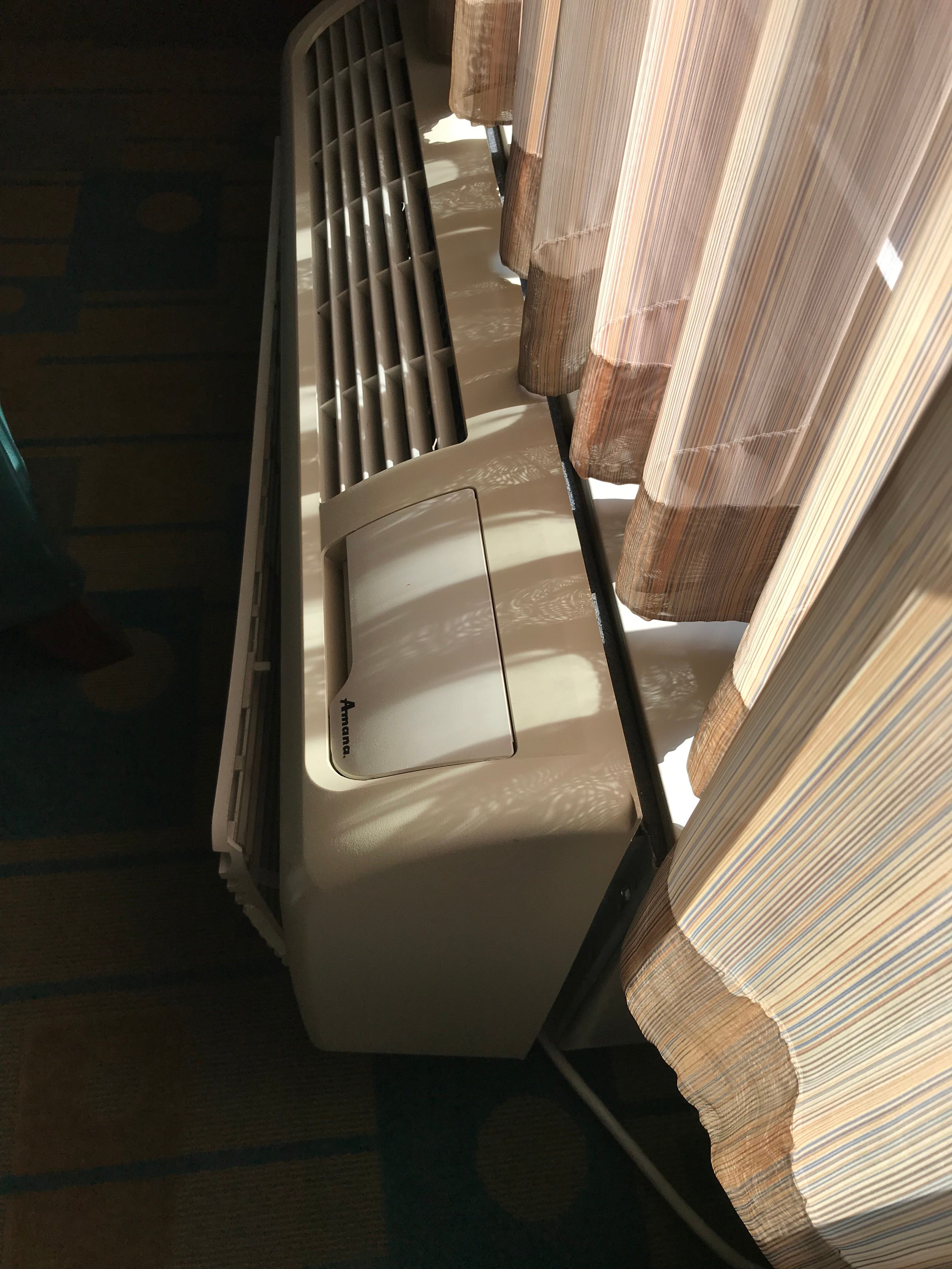 La Quinta Inn & Suites by Wyndham USF-portrait