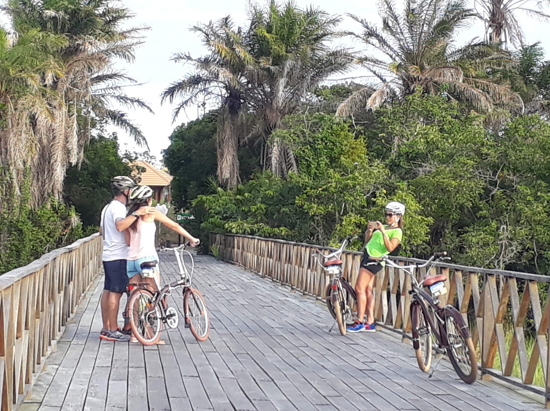 Parque Natural Municipal klaus Peters景点图片