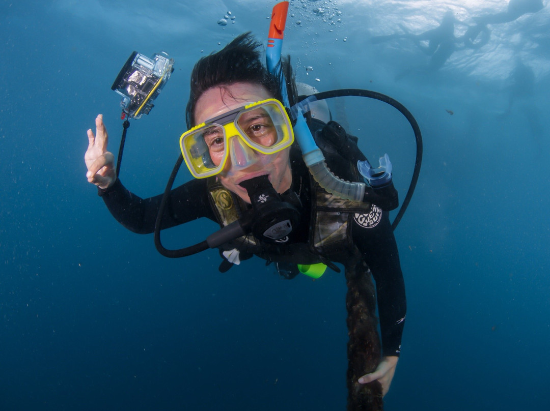 Discover 1770 & Agnes Water-Agnes Water必去景点