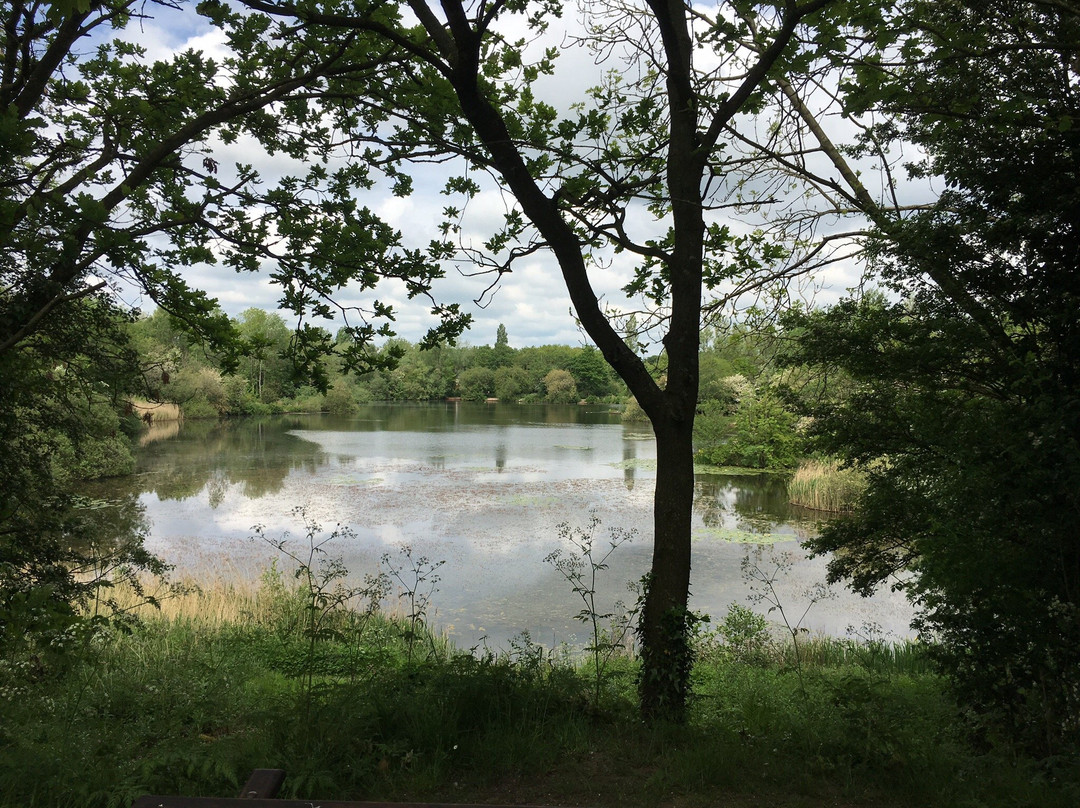 Longton Brickcroft Nature Reserve景点图片
