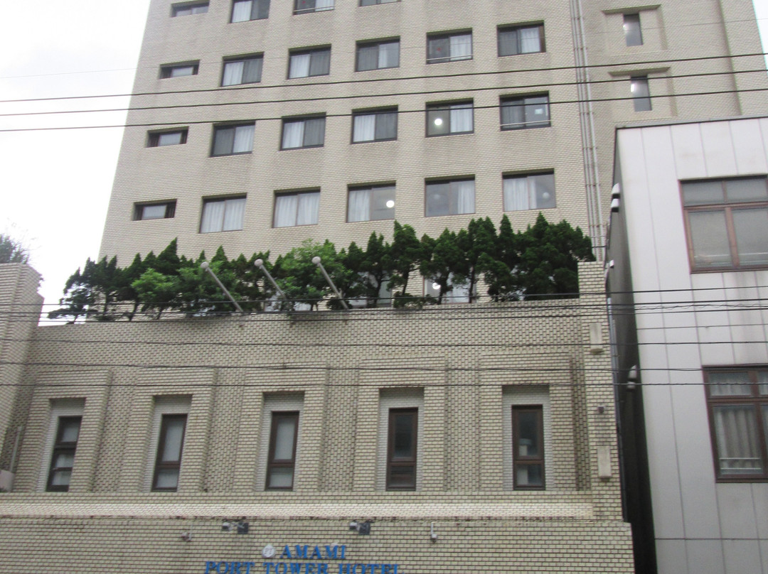 Amami Port Tower Hotel主图