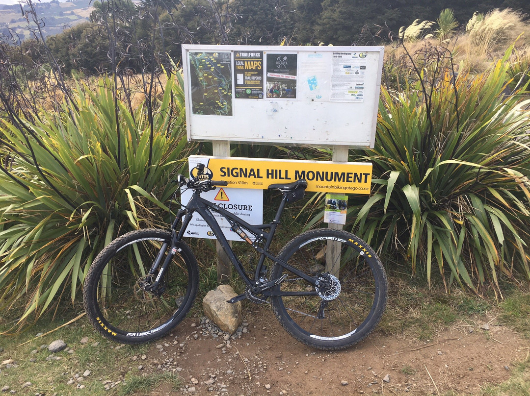 Dunedin Bike Hire景点图片