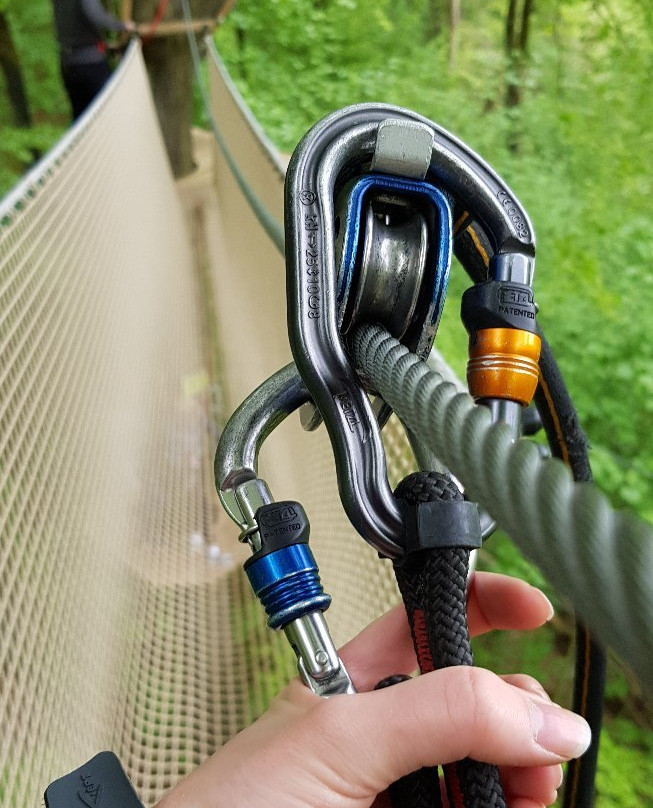 Go Ape Buxton-巴克斯顿必去景点