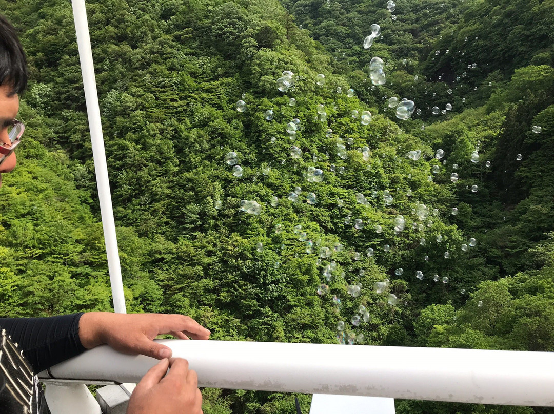Ueno Sky Bridge景点图片