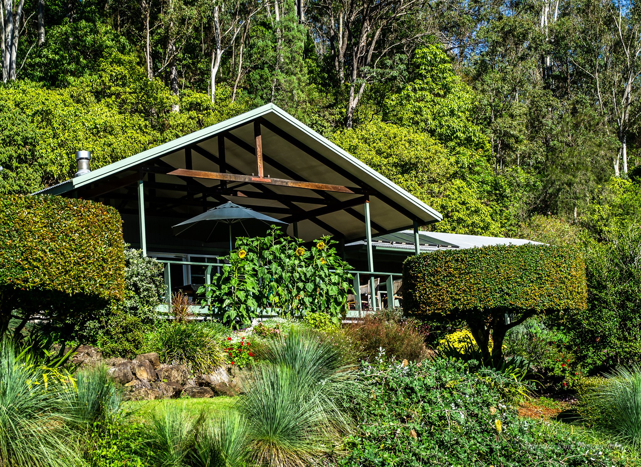 Cougal Park Bed and Breakfast-浴室