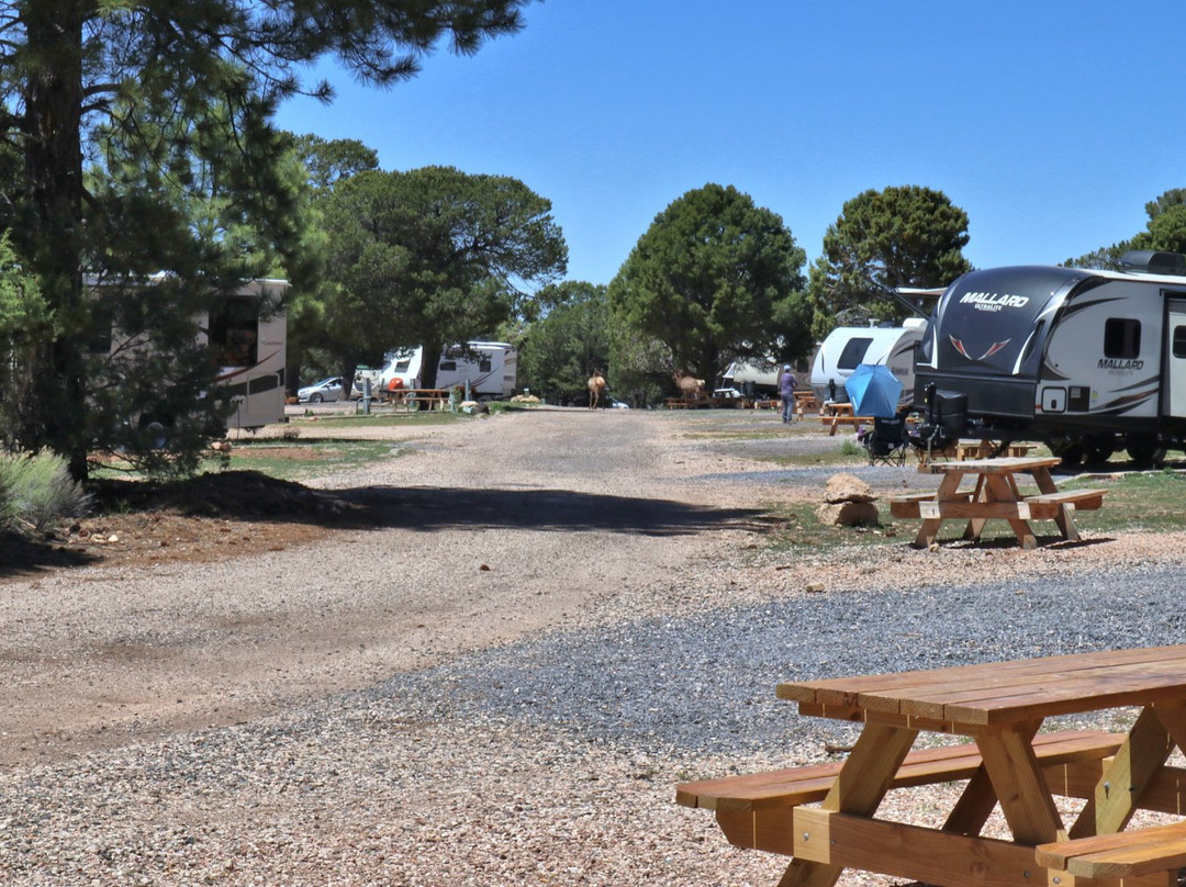 Trailer Village RV Park主图