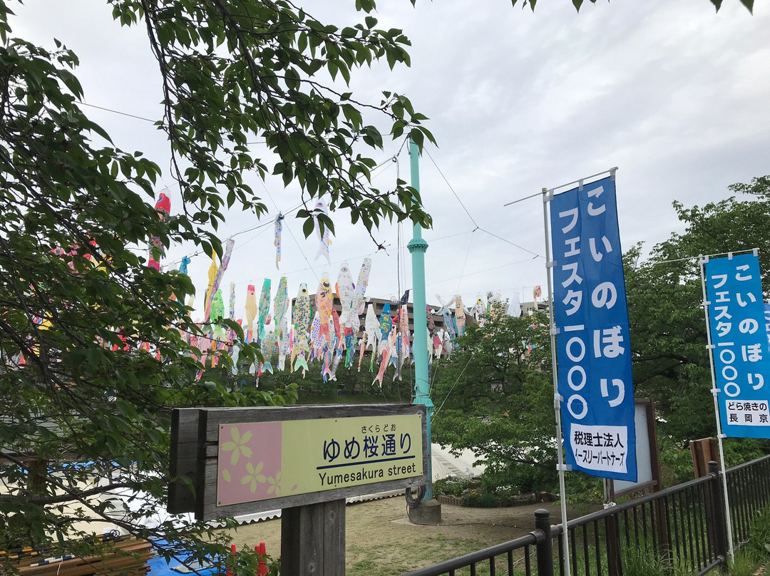 Akutagawasakurazutsumi Park-高规市必去景点
