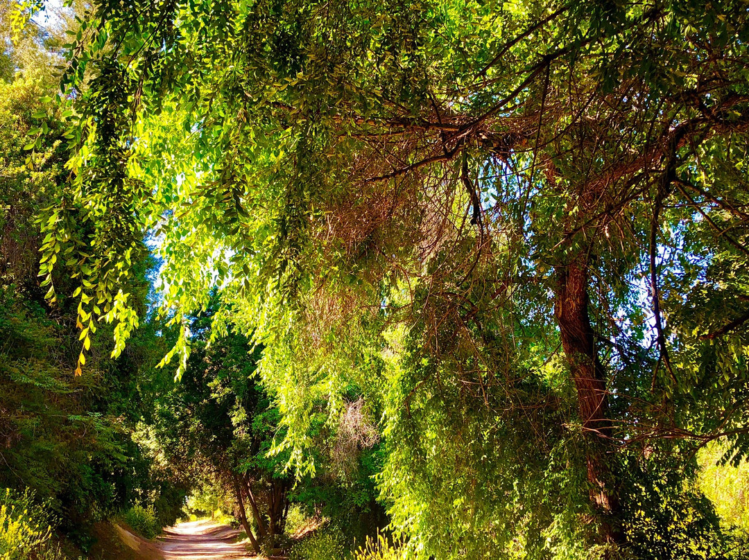 Laguna Lake Park-富乐顿必去景点