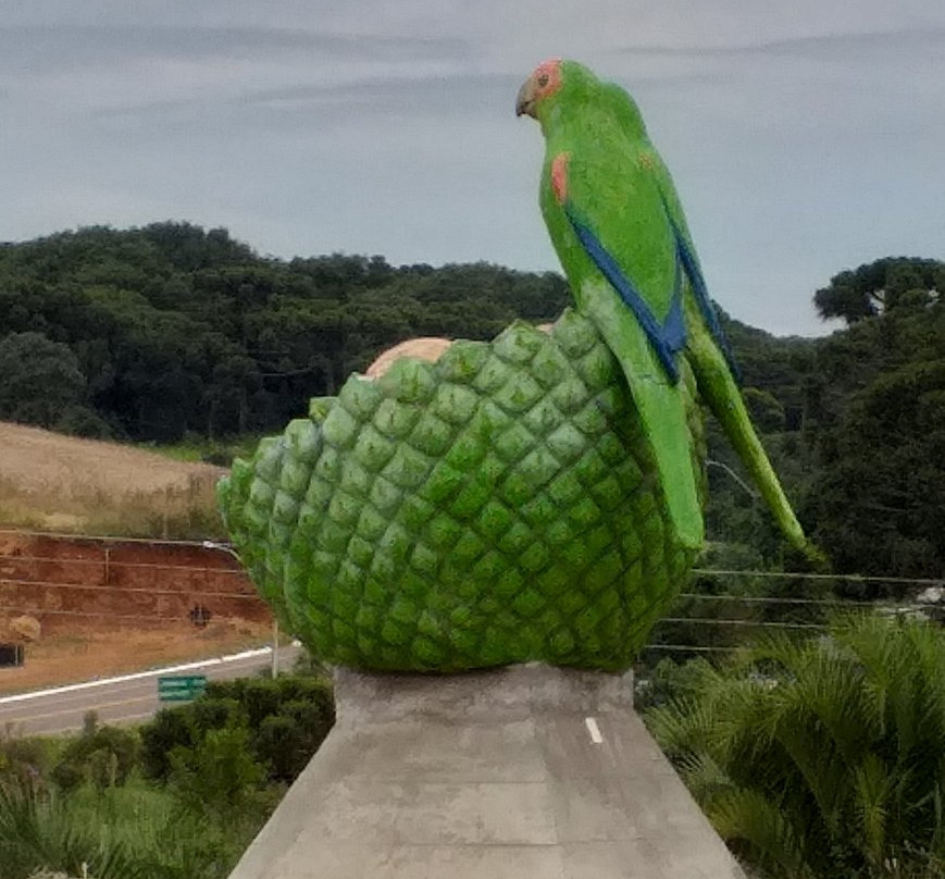 Monumento do Papagaio Charão景点图片