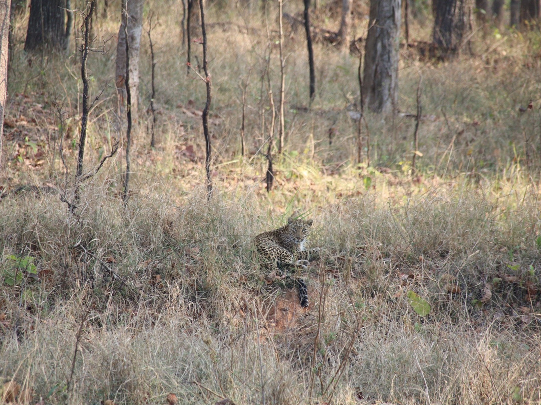 Achanakmar Wildlife Sanctuary景点图片