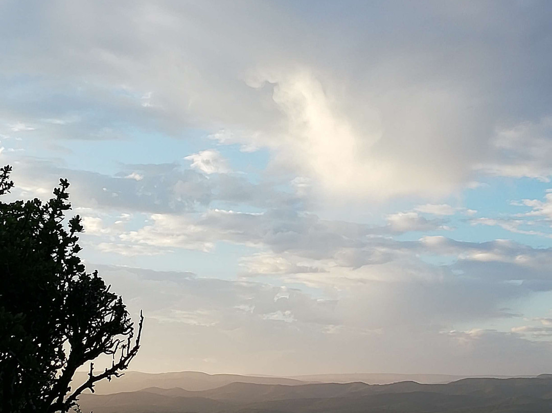 Addo Dung Beetle Guest Farm主图