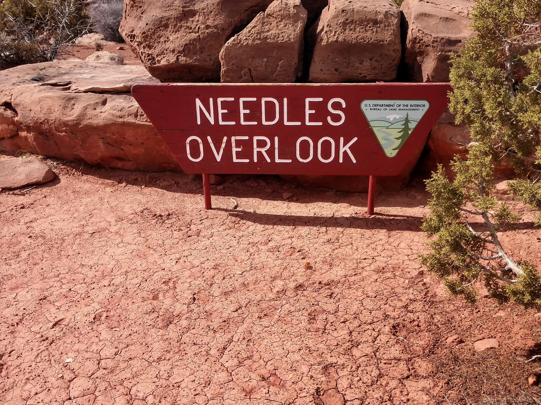 Needles Overlook景点图片