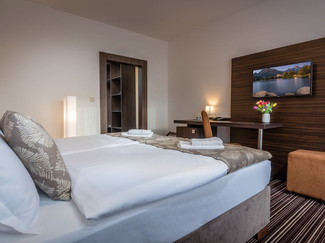 Hotel Satel Poprad主图