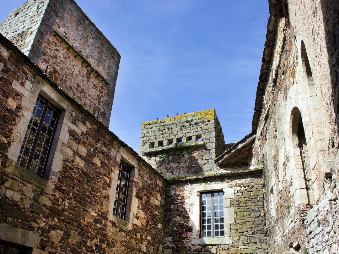 Château de Latour景点图片
