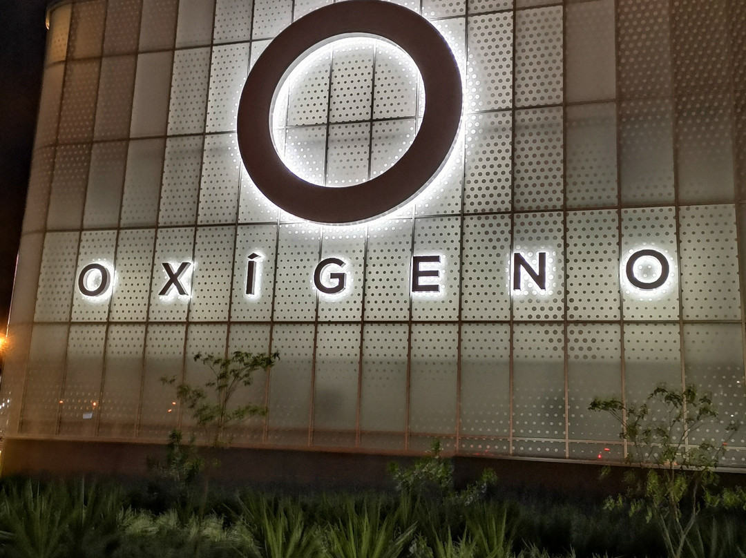 Oxigeno Human Playground景点图片