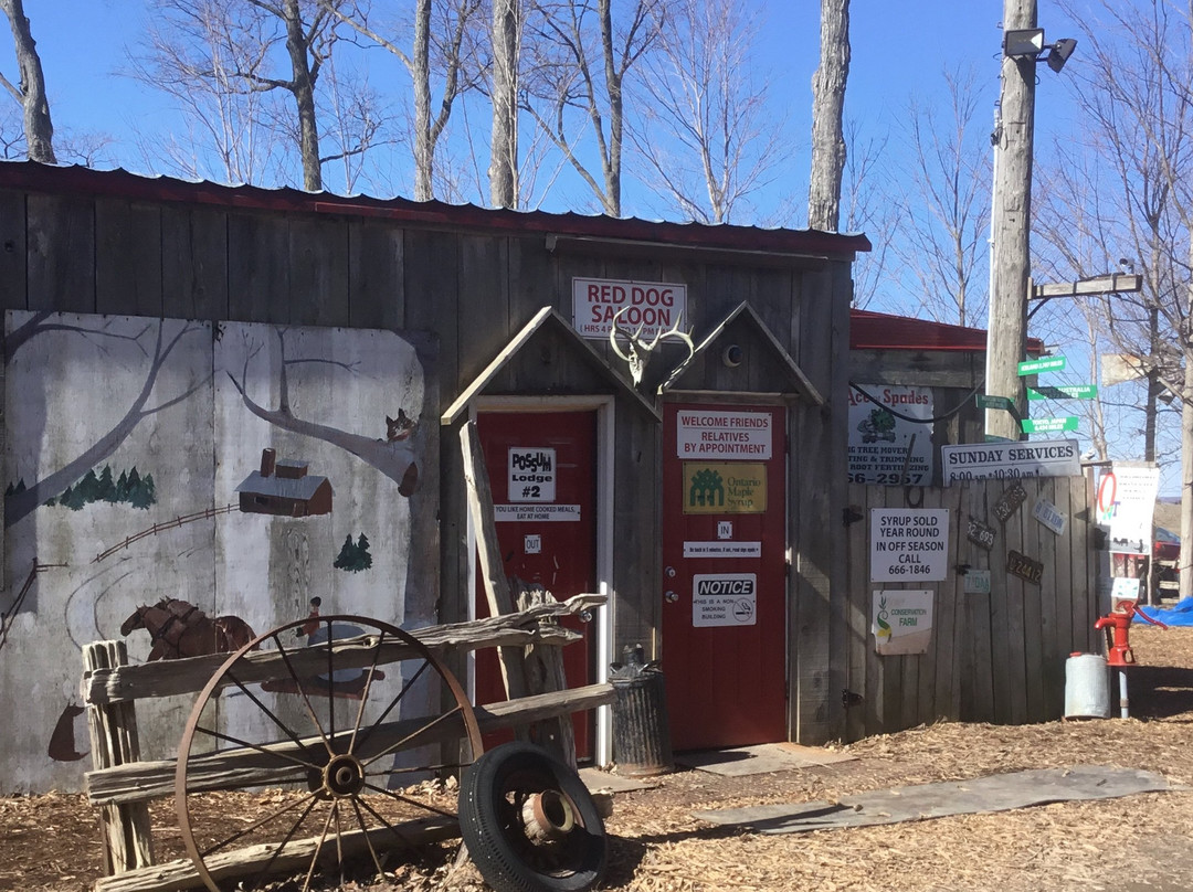 Ailsa Craig餐馆和美食-McLachlan Family Maple Syrup Camp and Pancake House
