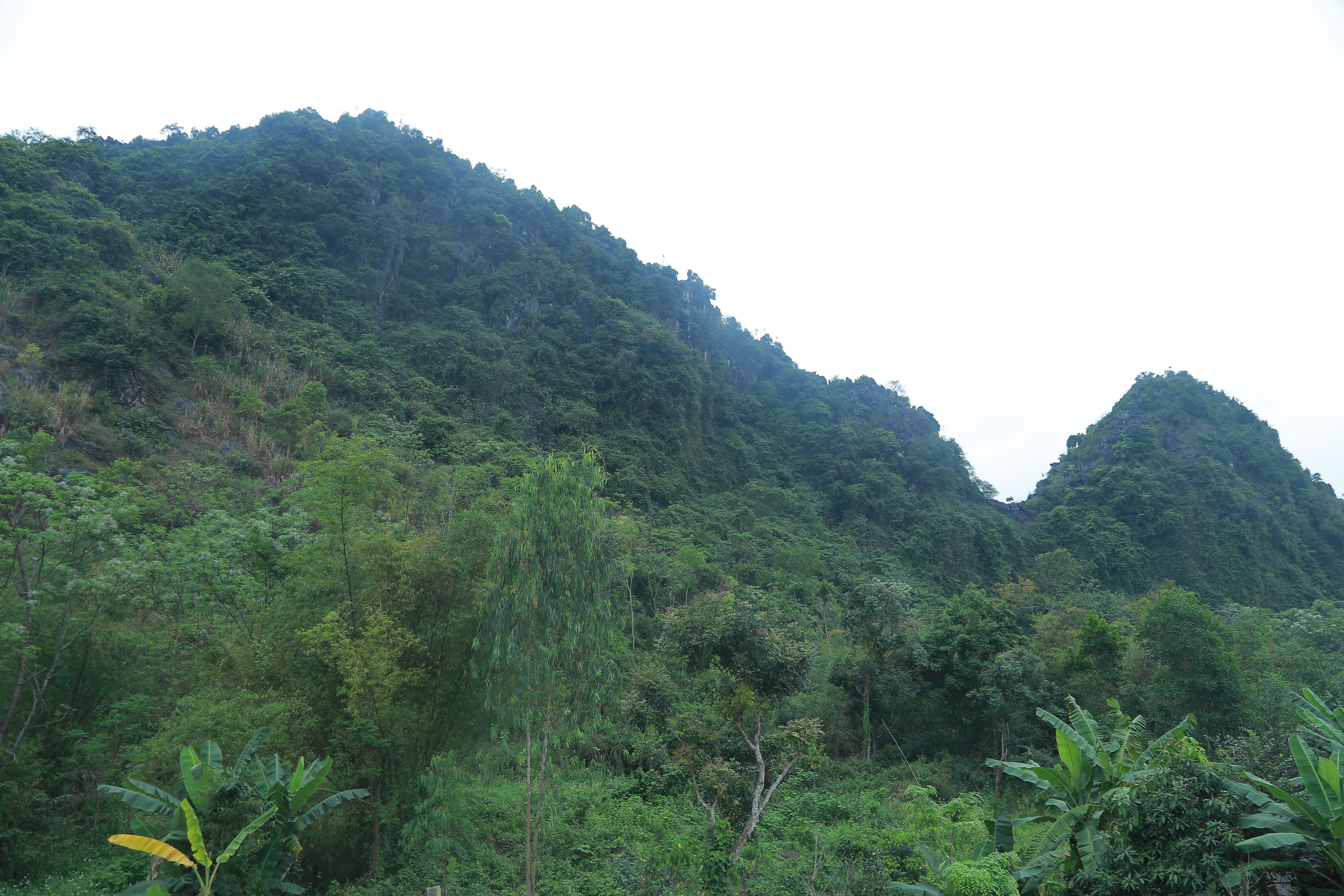 Tam's Homestay-官方