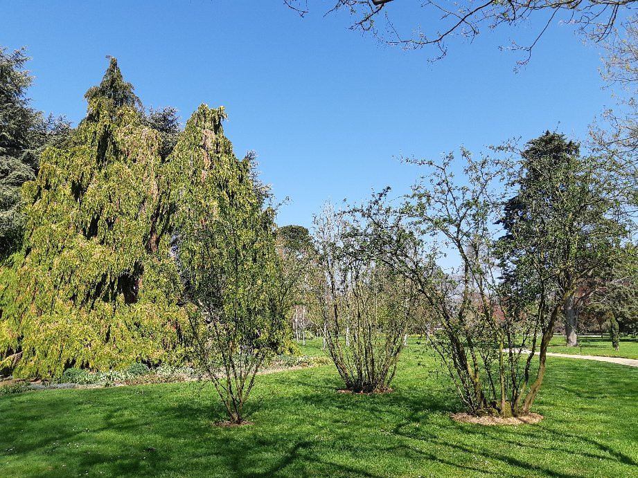 Parc de Maurepas-雷恩必去景点