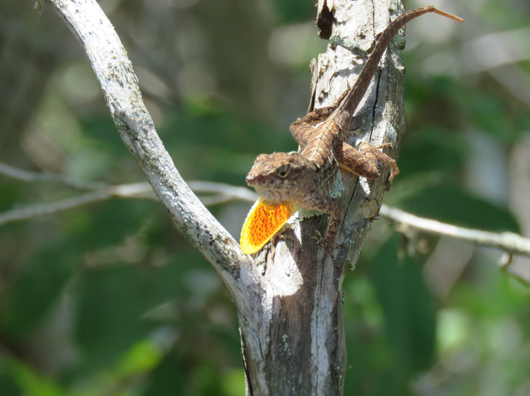 Ulumay Wildlife Sanctuary景点图片