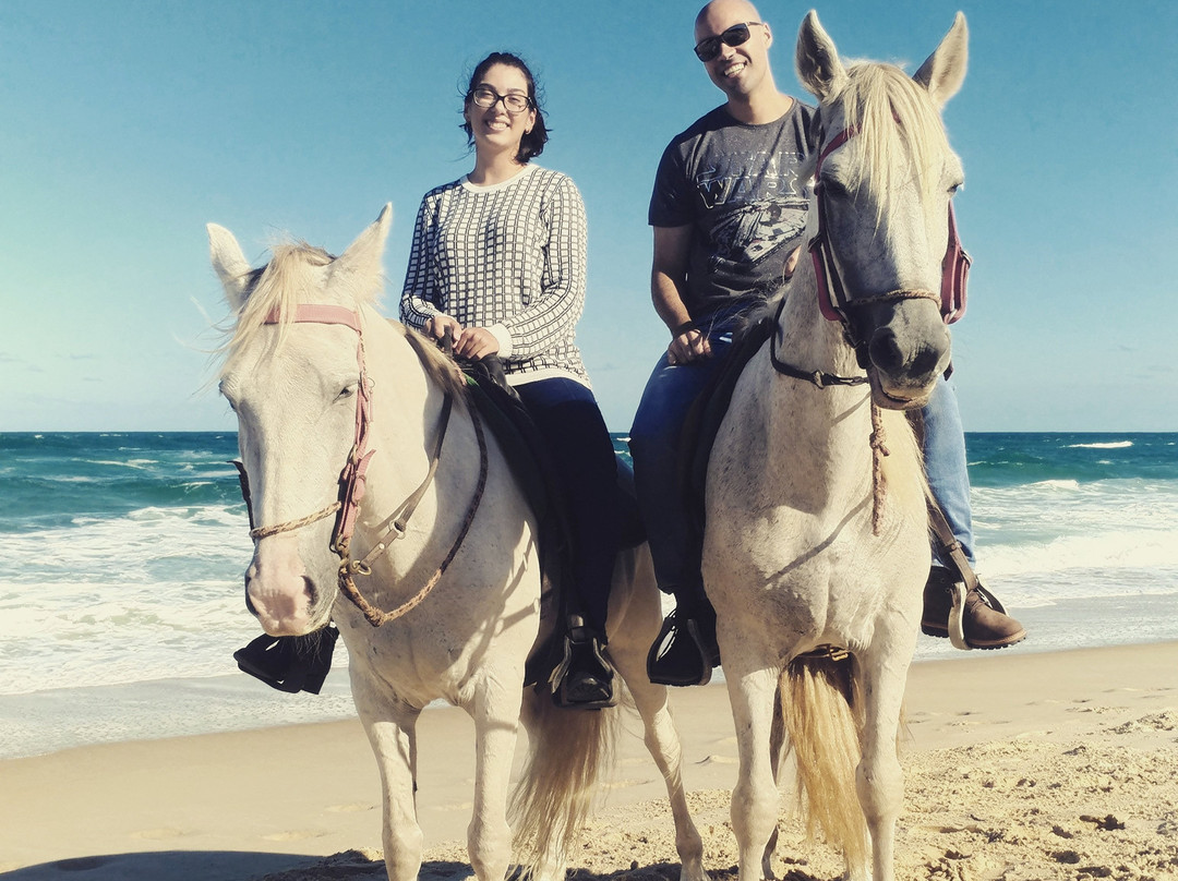 Haras Ypê Turismo Equestre-弗洛里亚诺波利斯必去景点