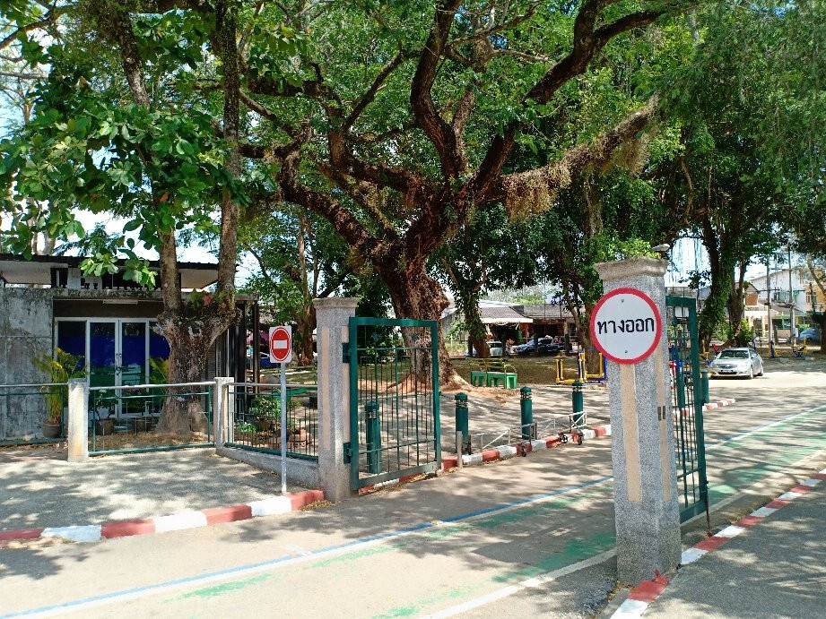 Kapang Surin Pond景点图片