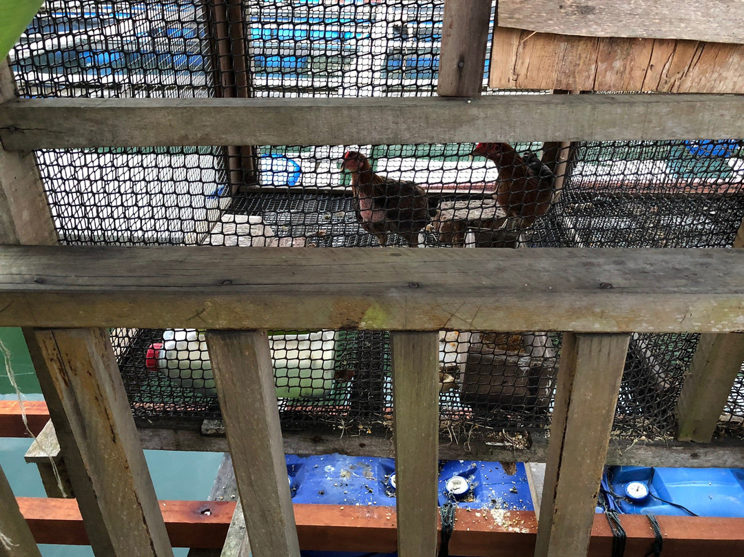 Poseidon Oysterbay Resort主图