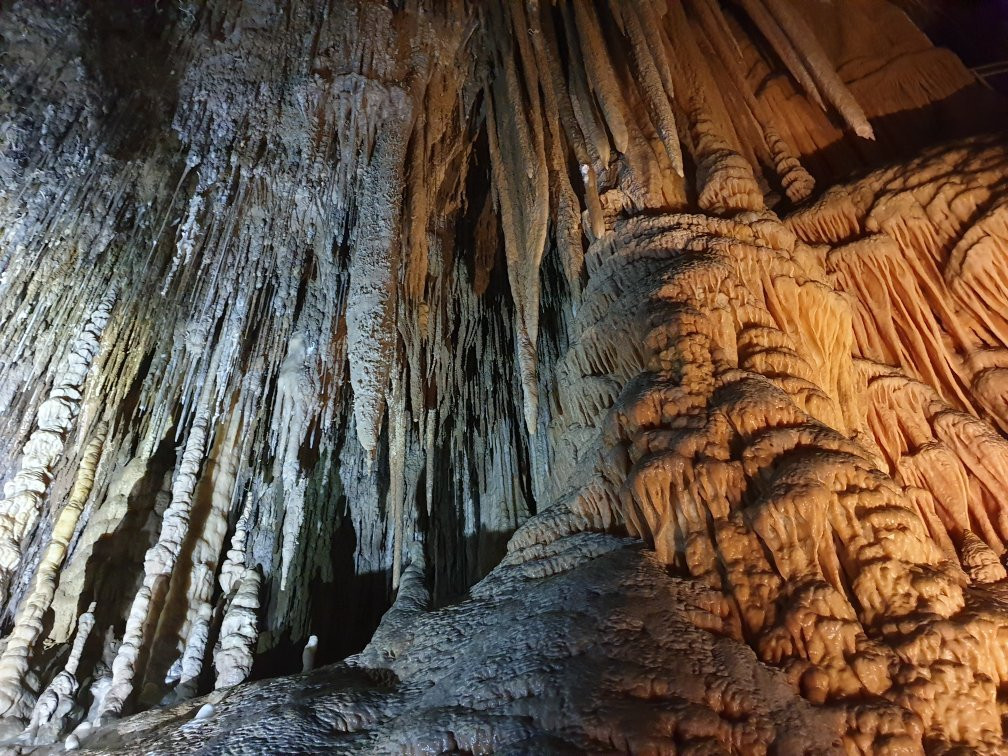 Hastings Caves and Thermal Springs景点图片
