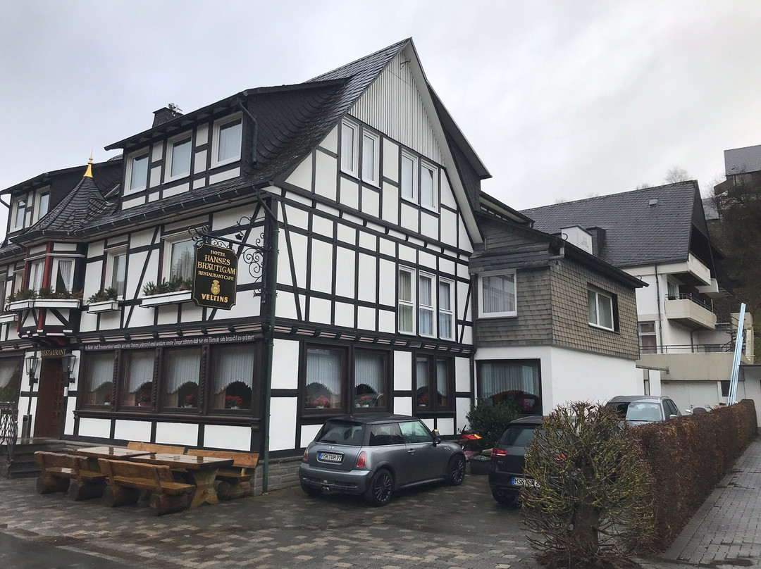Landgasthof Hotel Hanses-Bräutigam主图