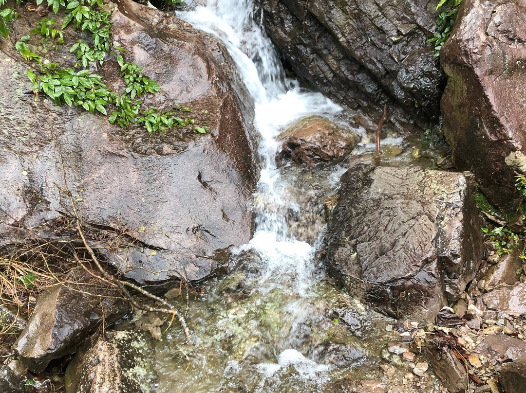 净名谷景区-乐清市必去景点