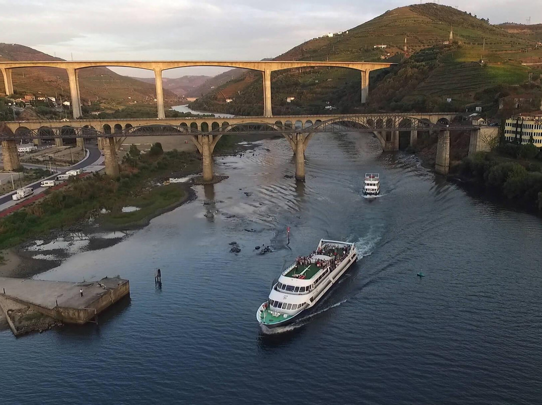 Douro Criativo景点图片