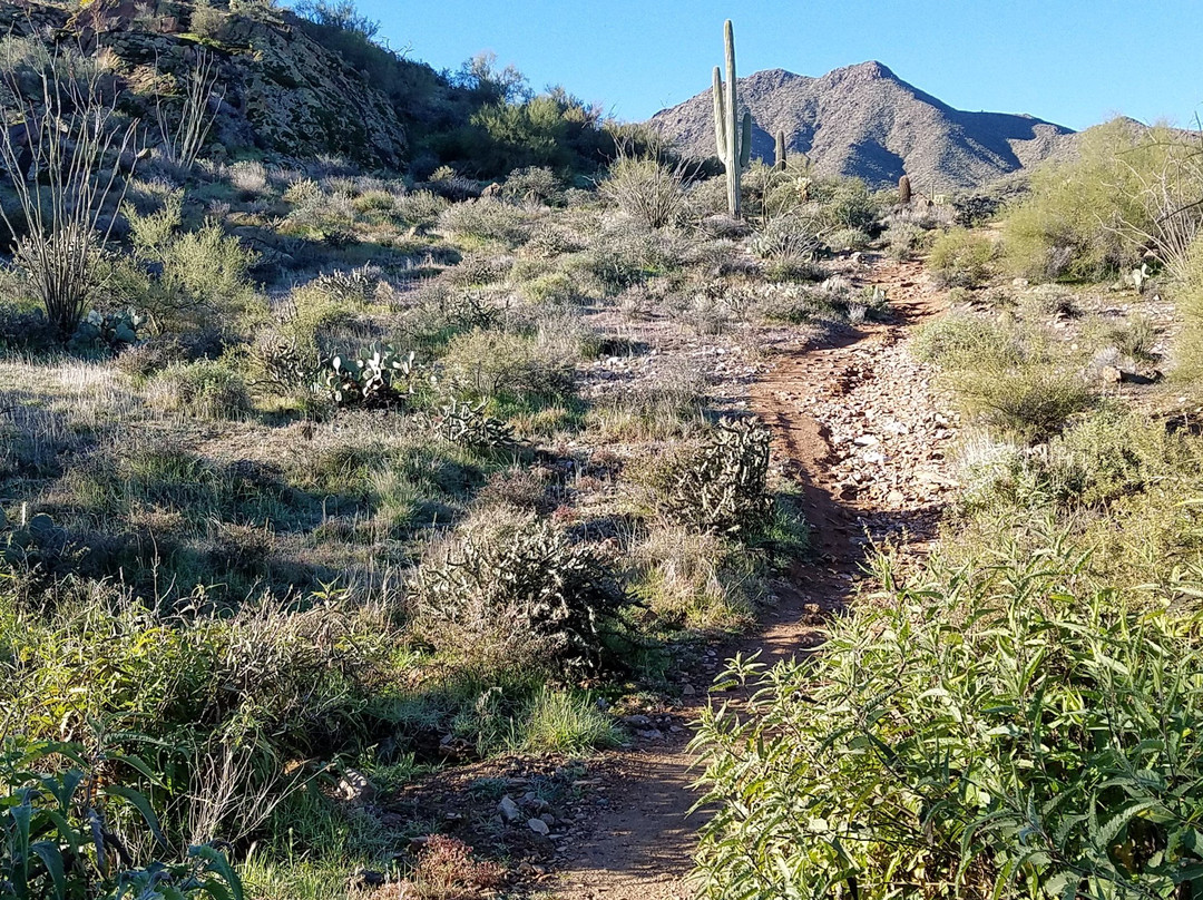 Dixie Mine Trail-Fountain Hills必去景点