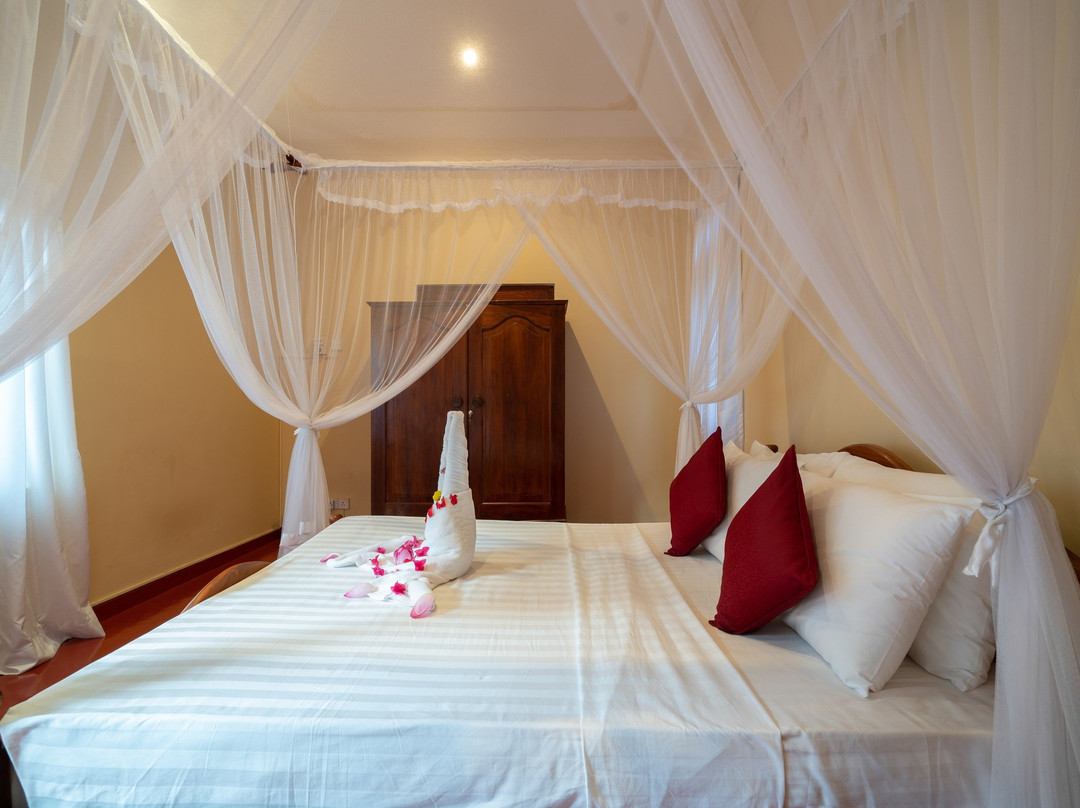 Chandra Villa Ayurveda Resort主图