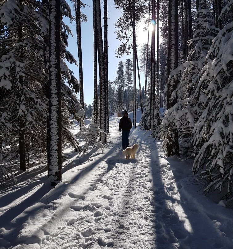 The Resort at Cypress Hills主图