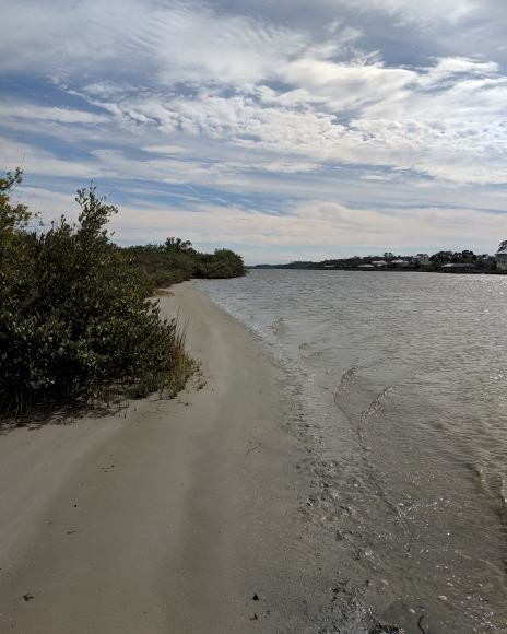 Betty Steflik Memorial Preserve-Flagler Beach必去景点