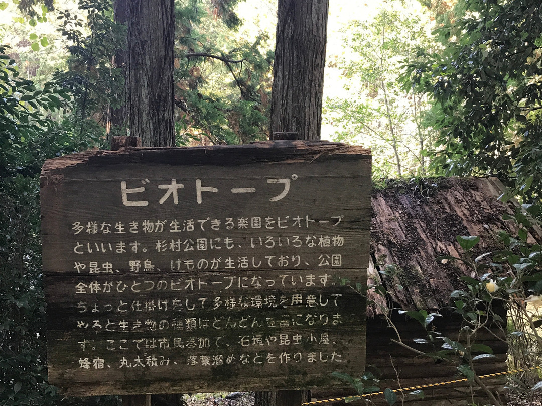 Sugimura Park-桥本市必去景点