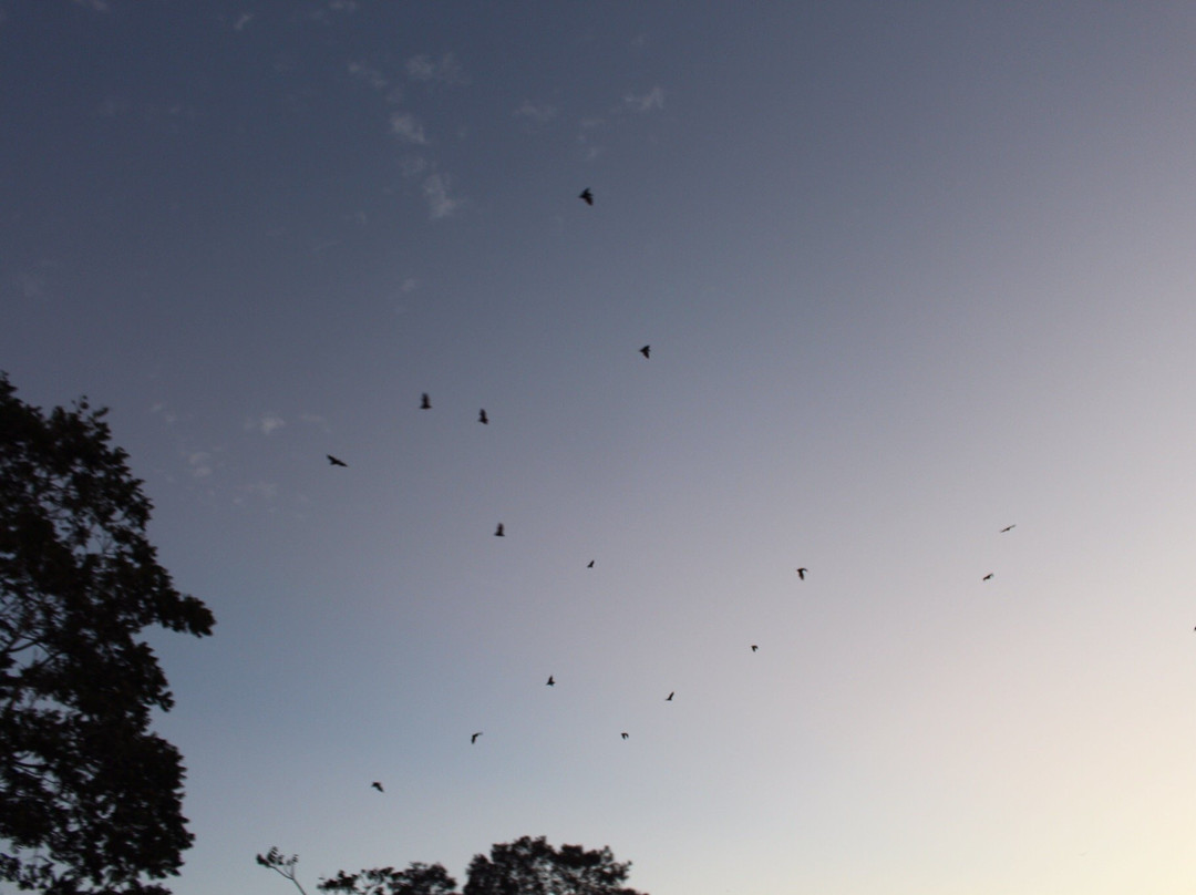 阿斯顿山汽车旅馆主图