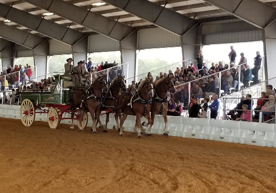 Florida Horse Park-奥卡拉必去景点