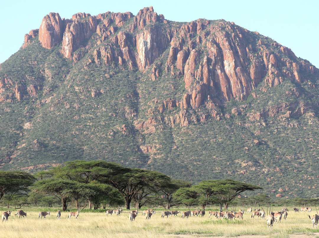 null-Shaba National Reserve