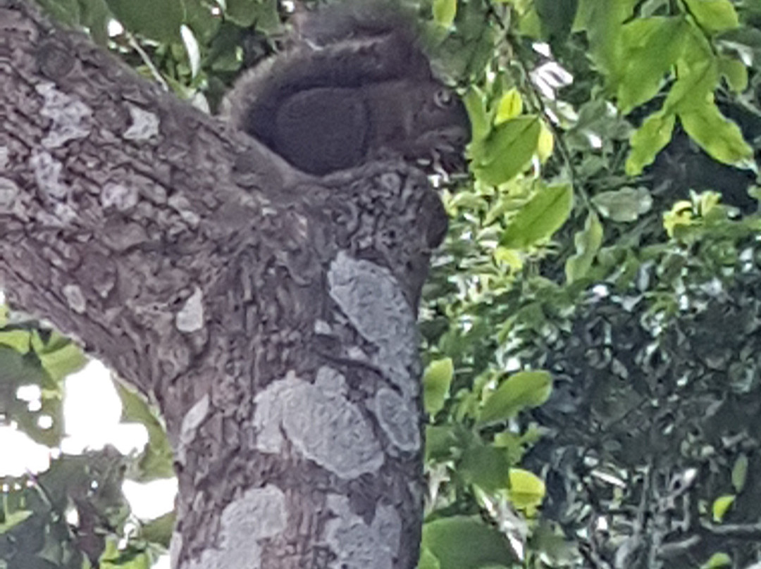 Pousada Lagamar主图