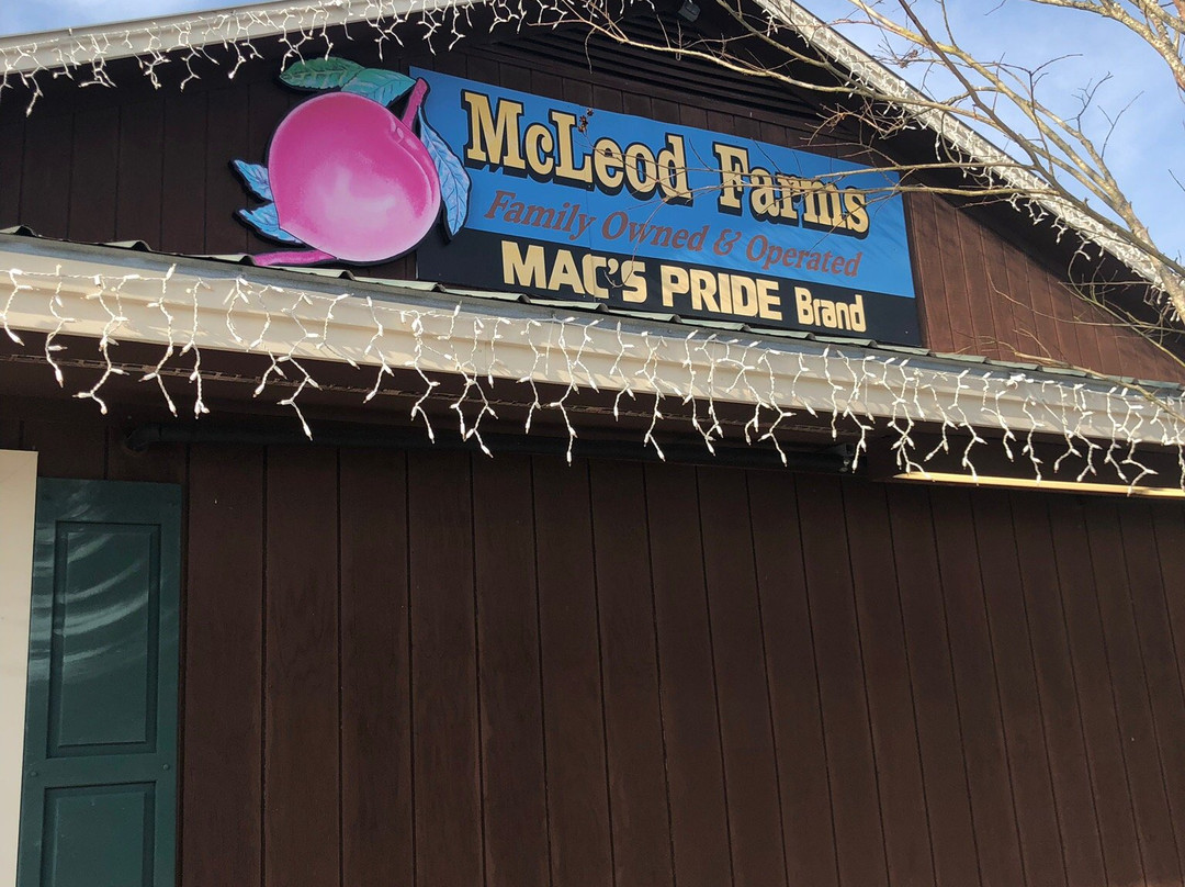 McLeod Farms-McBee必去景点