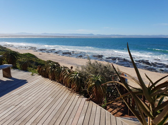 Dolphin Sunrise主图