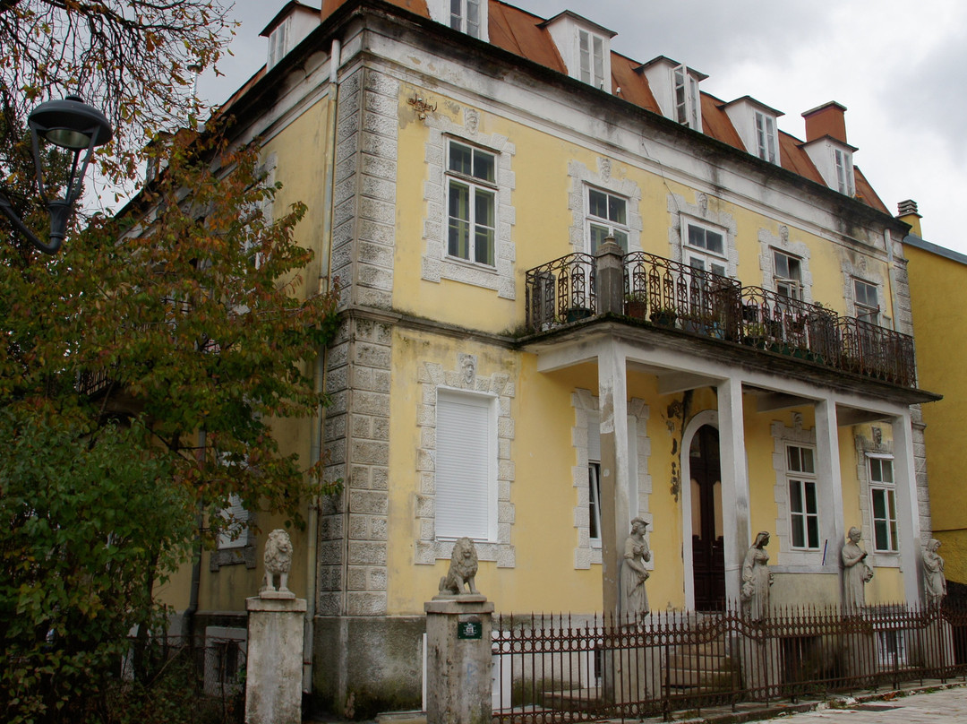 Djukanovic House