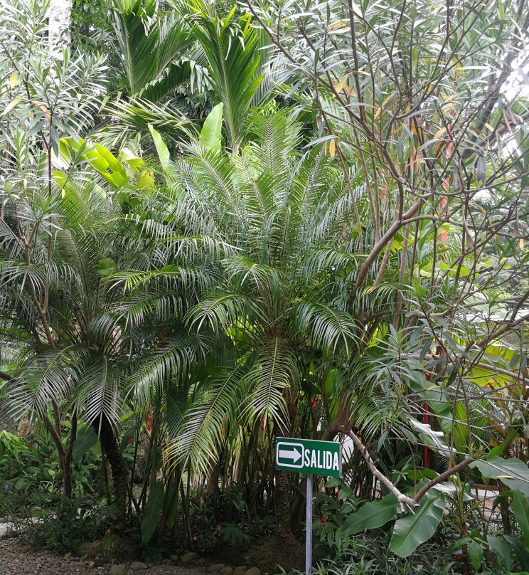 Hotel Boutique Indalo主图