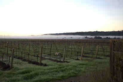 Delorimier Winery Vineyard Farmstay主图