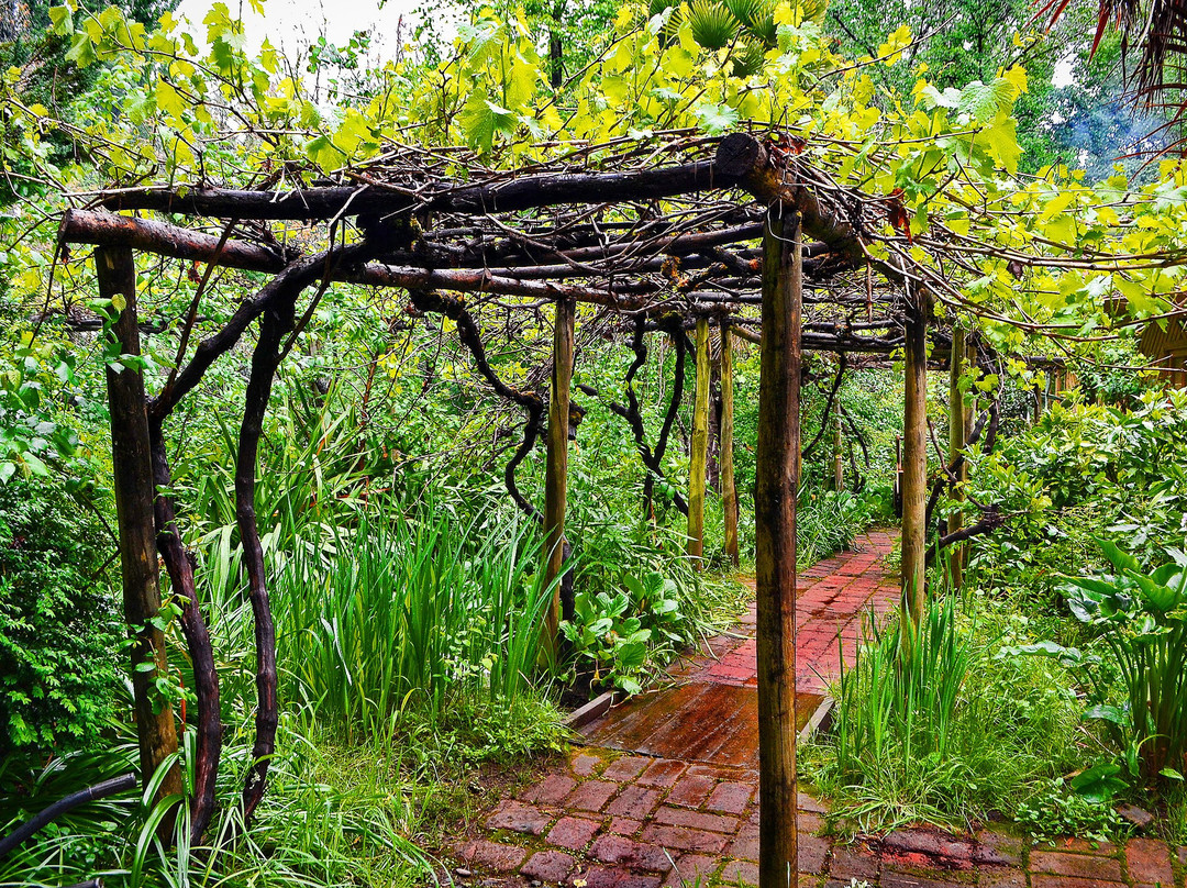 萨尔瓦多吕康旅馆主图