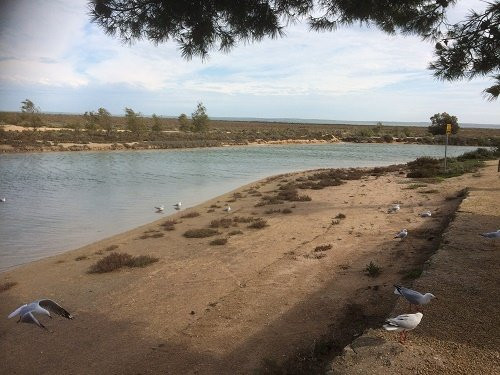 Port Wakefield Tidal Pool景点图片
