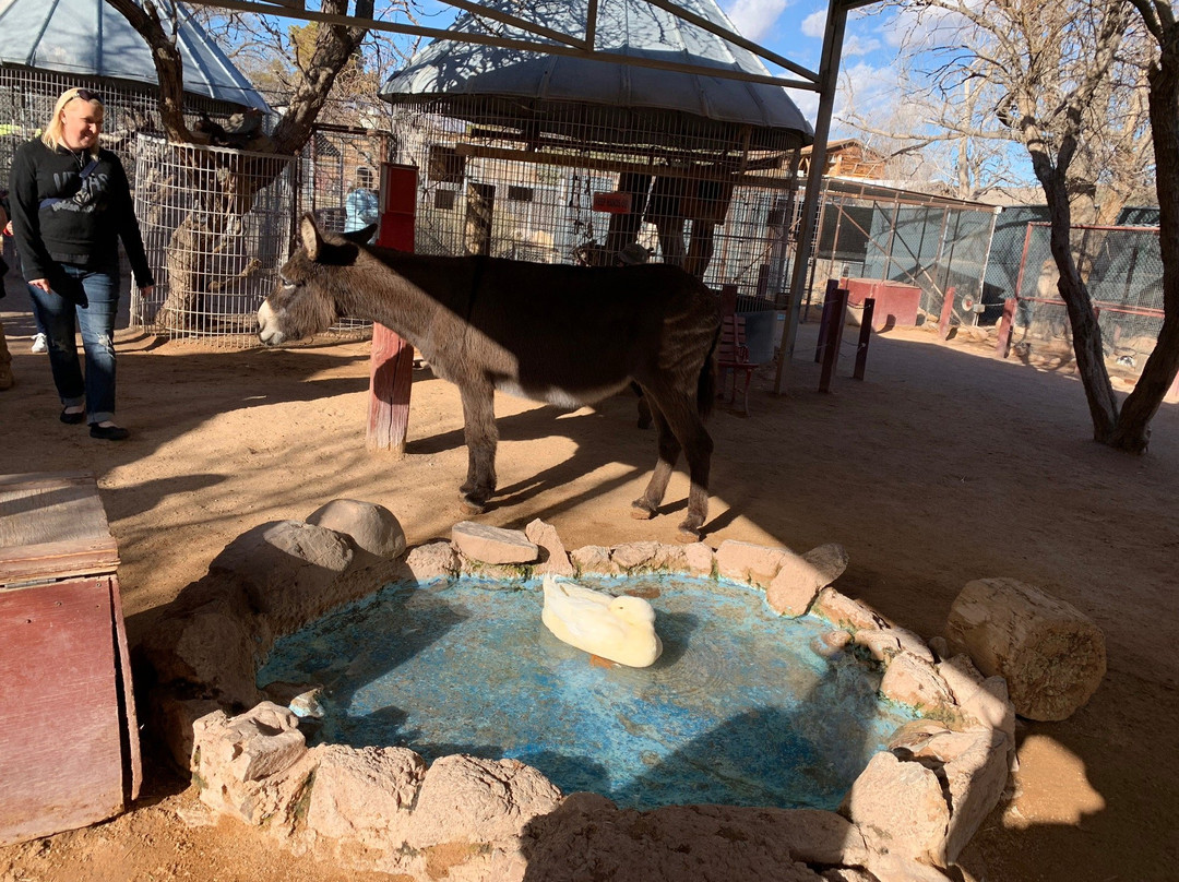 Bonnie Springs Old Nevada-Blue Diamond必去景点