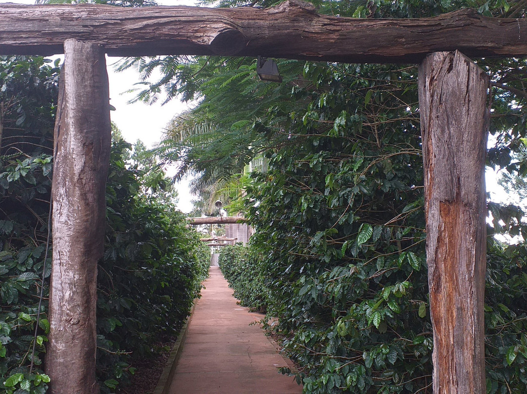 Fazenda Hotel Vale Verde主图