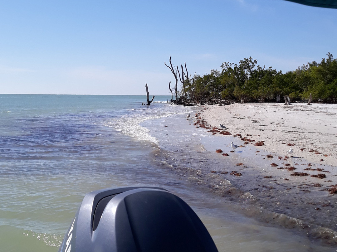 Monroe Canal Marina-Saint James City必去景点