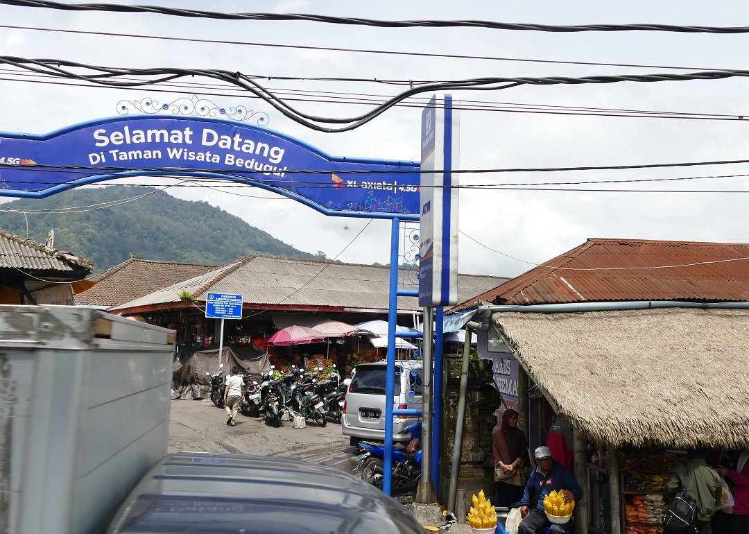 Bedugul Market景点图片